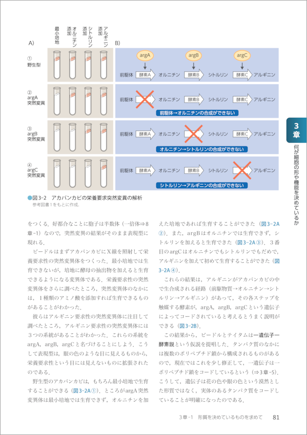 基礎から学ぶ生物学・細胞生物学　第４版