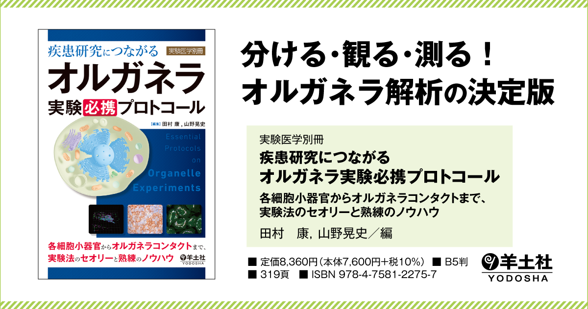 実験医学別冊 疾患研究につながる　オルガネラ実験必携プロトコール 疾患研究につながる オルガネラ実験必携プロトコール 実験医学別冊