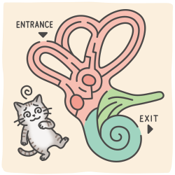 第132回　重曹とめまい