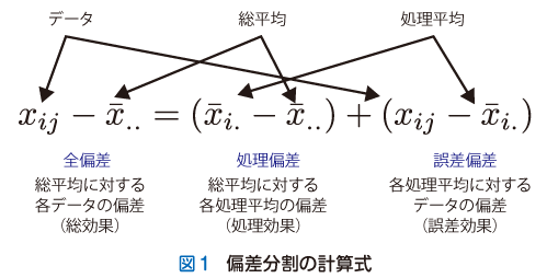 図1　偏差分割の計算式