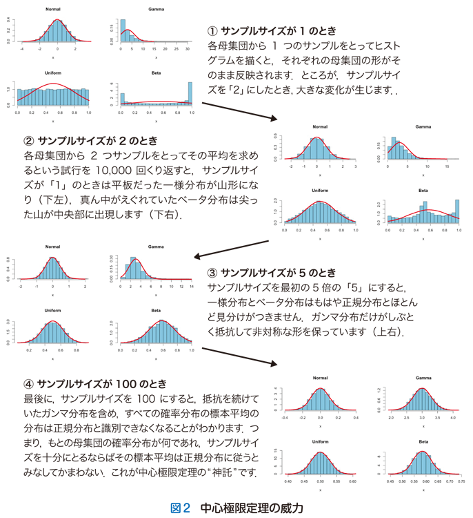 第9回 秘宝 確率分布曼荼羅の発見 統計の落とし穴と蜘蛛の糸 Smart Lab Life 羊土社