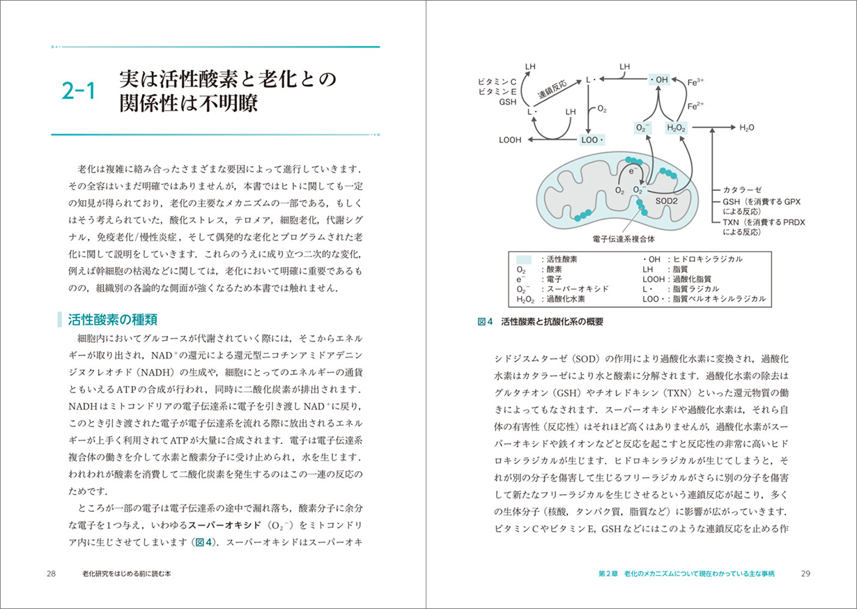 紙面28，29ページ