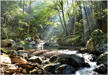 《地域の概要》奈良県・川上村