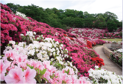 《地域の概要》福井県・鯖江市