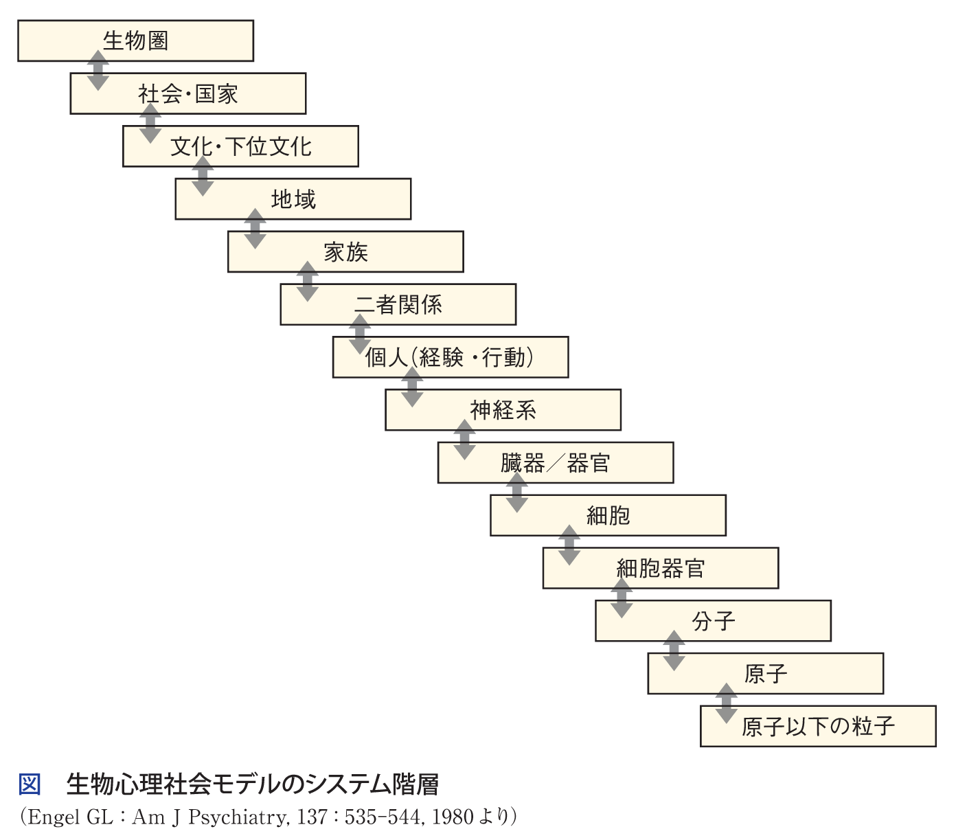 図 生物心理社会モデルのシステム階層 1)