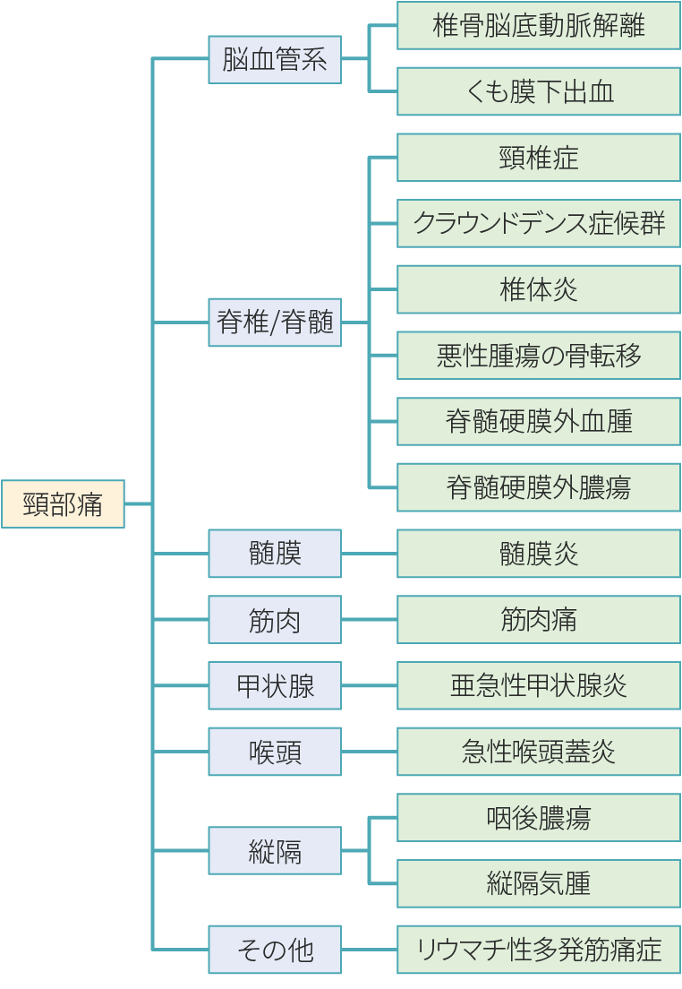 図6　症例1：解剖学的アプローチからのロジックツリー例