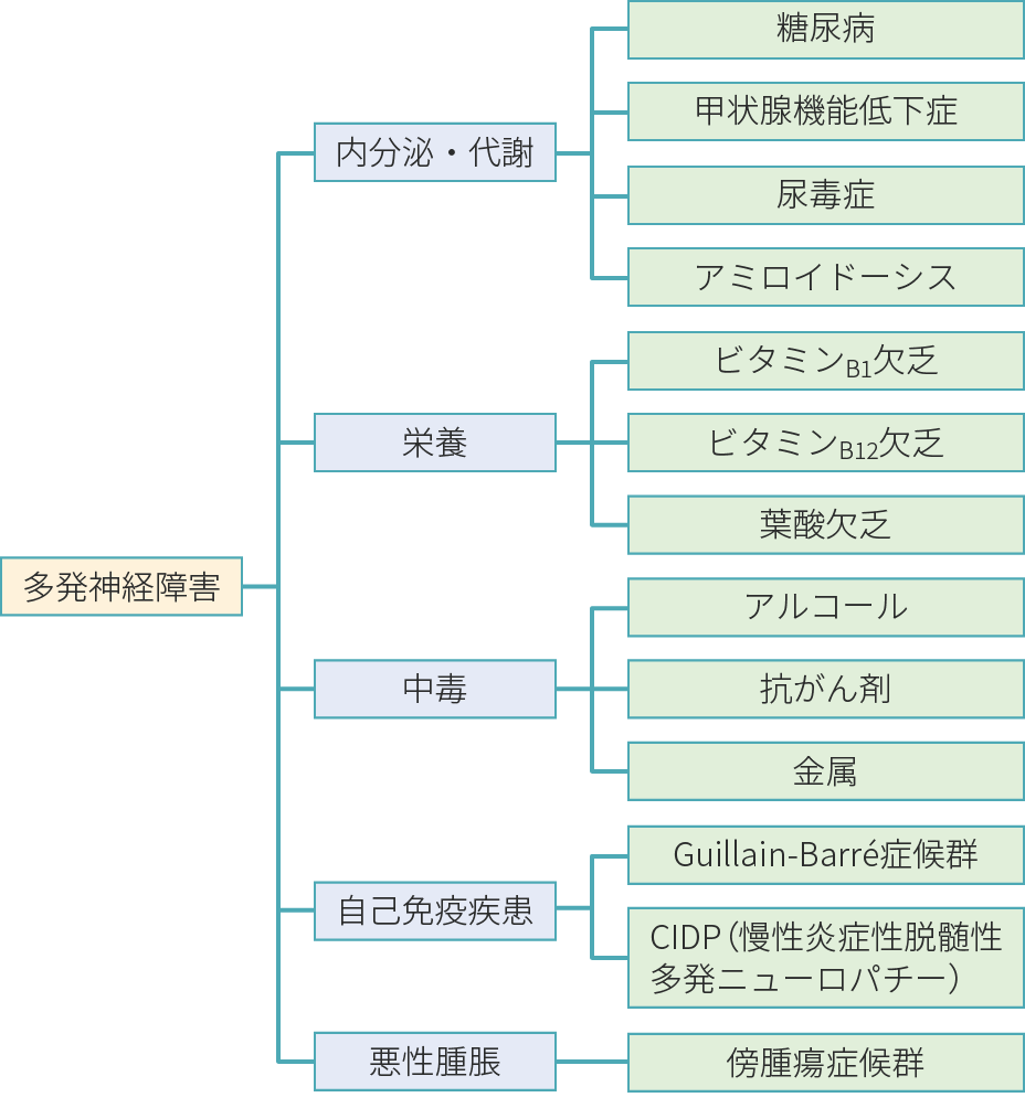 図5　多発神経障害のロジックツリー