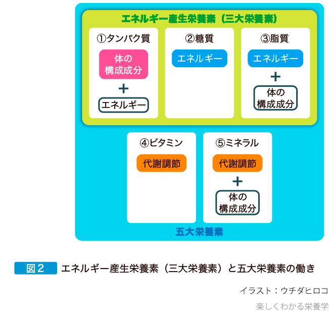 楽しくわかる栄養学 羊土社