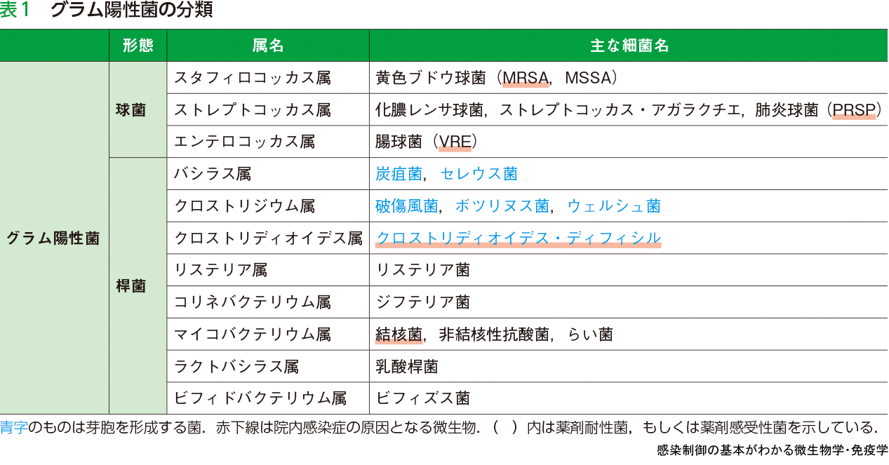 感染制御の基本がわかる微生物学 免疫学 羊土社