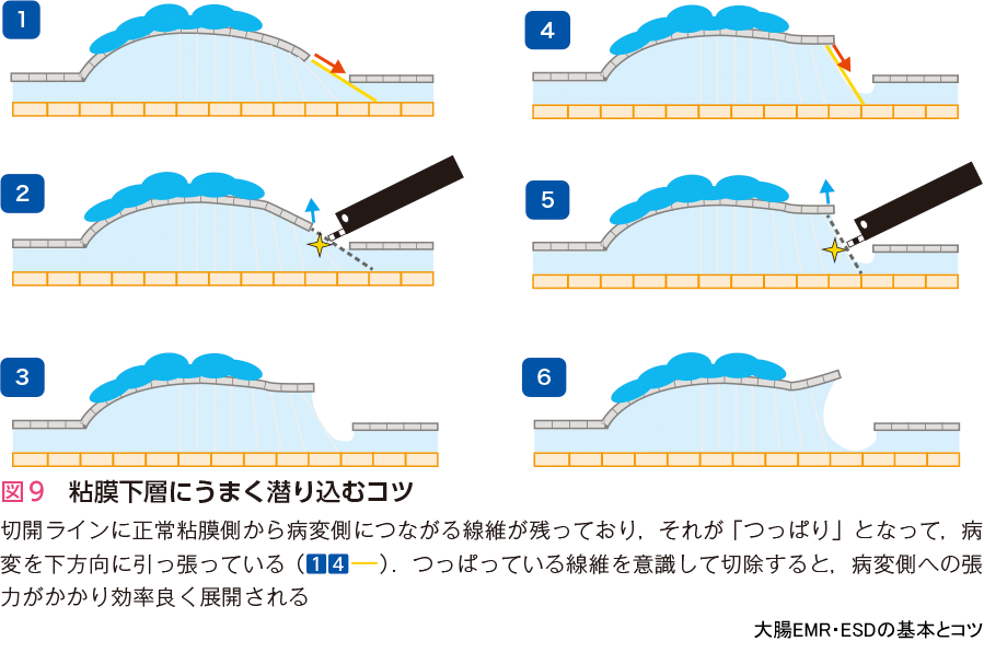 図9