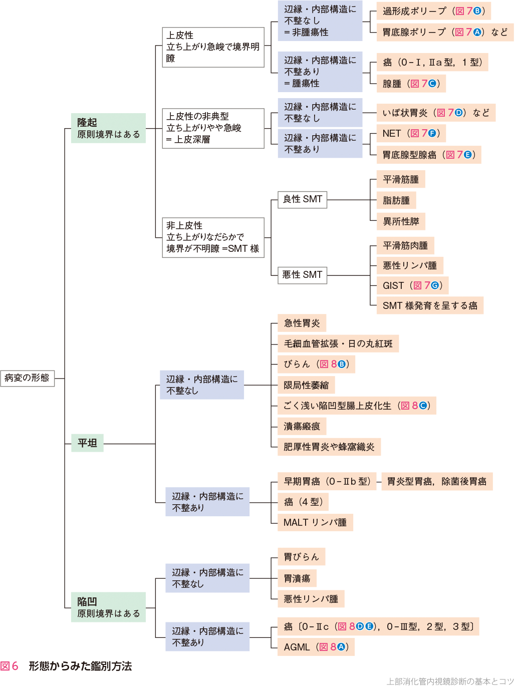 図6