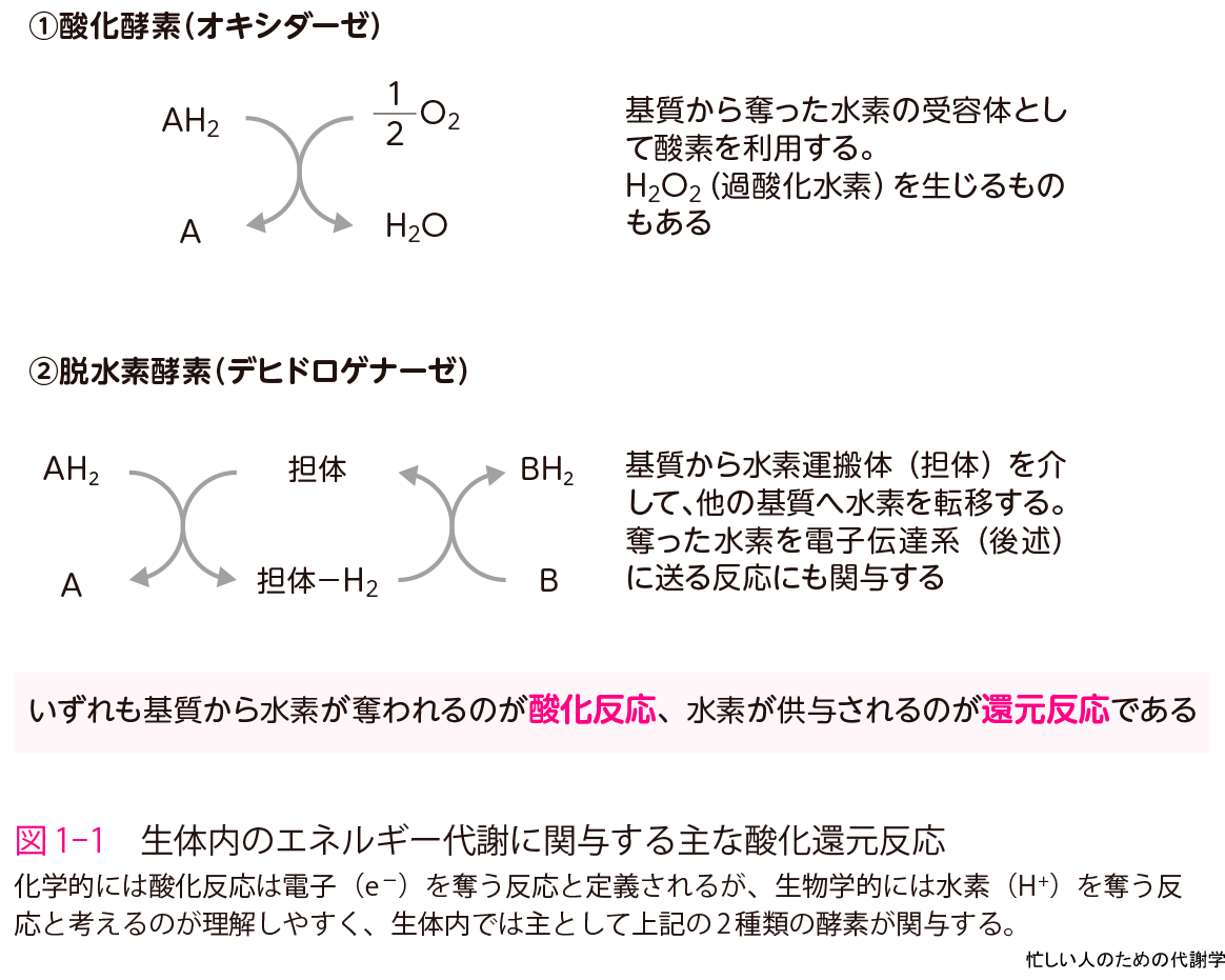 図1-1