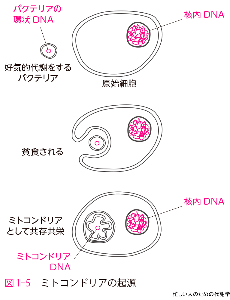 図1-5