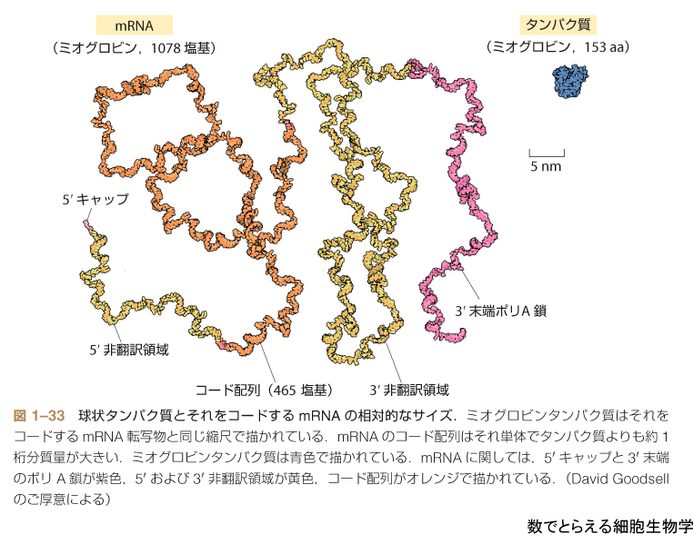 図1–33