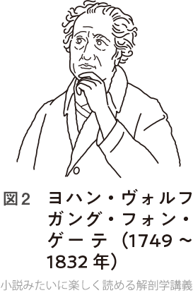 図2 ヨハン・ヴォルフガング・フォン・ゲーテ（1749 〜1832 年）