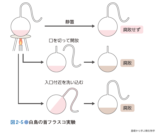 基礎から学ぶ微生物学 - 羊土社