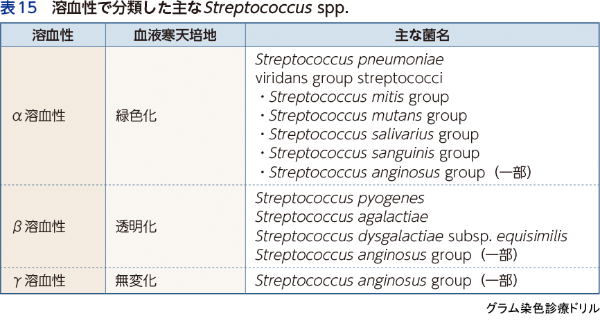 表15 溶血性で分類した主なStreptococcus spp.