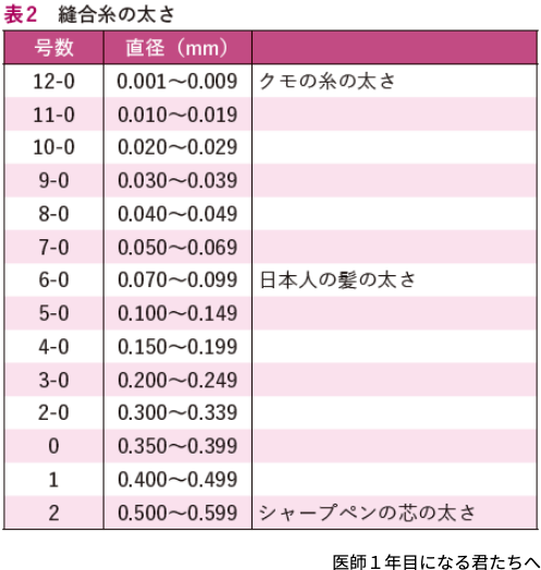 表2 縫合糸の太さ